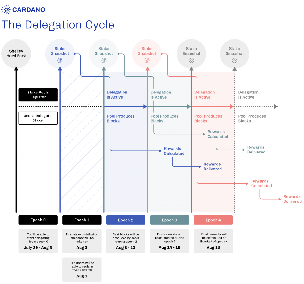 cardano delegation cycle